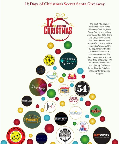 12 Days of Christmas Secret Santa Giveaway