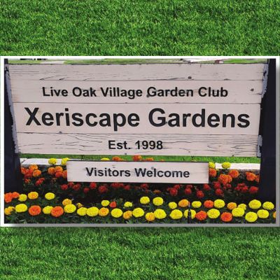 Live Oak Village Garden Club Plant Sale