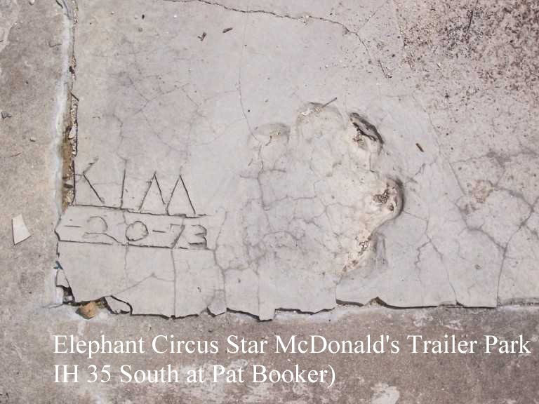 Elephant Circus Star McDonald’s Trailer Park (IH 35 South at Pat Booker)