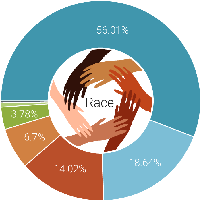 Race pie chart